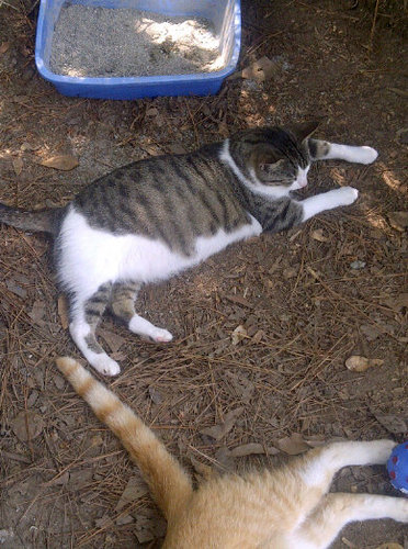 easl30's profile picture. 