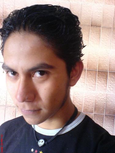 Nací, crecí, me reproducí, me arrepentí, volví a caer, sigo en el fango, moriré algún día y esperaré la Redención.