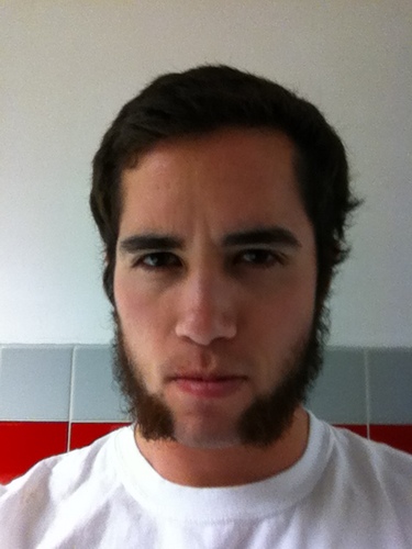 you can call me Sir Tweets-a-lot