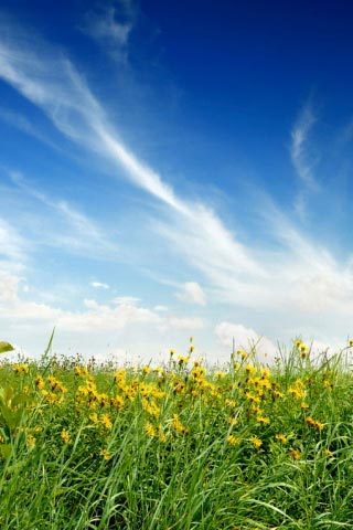 _patrina_billri's profile picture. 