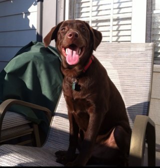 KMFergs's profile picture. 