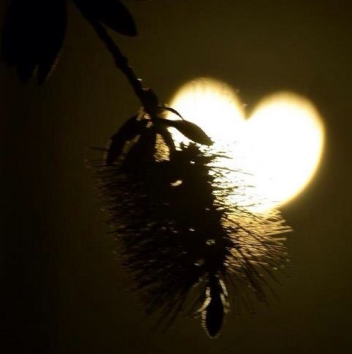 Betty1104's profile picture. 