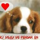 melina esmeraldas (@0802175679) Twitter