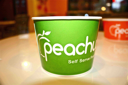 Come join us for some tasty, and HEALTHY, self-serve froyo! Cups, cones, smoothies... We can't wait to see you at 101 E.California (on the canal)