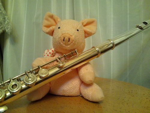 anzu_5469's profile picture. フルートを習い始めてはや10年(^^;…変化を重ねつつも楽しい音楽生活です！  でも、まだまだ先は長いなぁ〜（＊＾＾＊） ライブ、芝居…生のステージとB'zをこよなく愛しています！