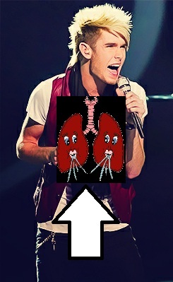 We are Colton's lungs! We help him to breathe and stay alive so he can sing like an angel! We work overtime when he hits those high notes, but we don't mind! =)