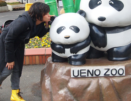 fairyfairuz's profile picture. Hello!I'm Fairy & I like loud music.よろしく！a self taught graphic designer.(was) a motion designer This is my tribute to Japan: http://t.co/QOwwyu0cBa