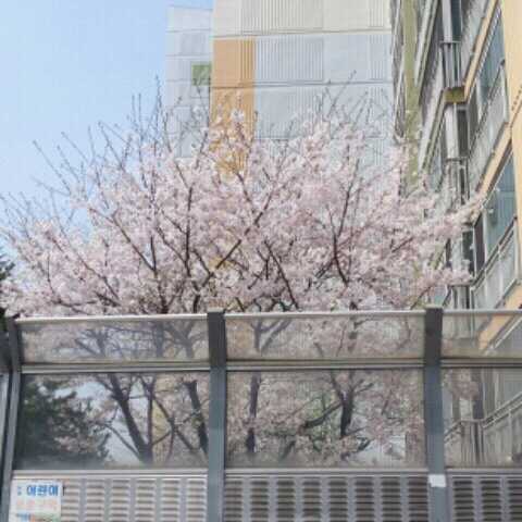 우물안 개구리..세상 밖 구경하러 나오다~~^^