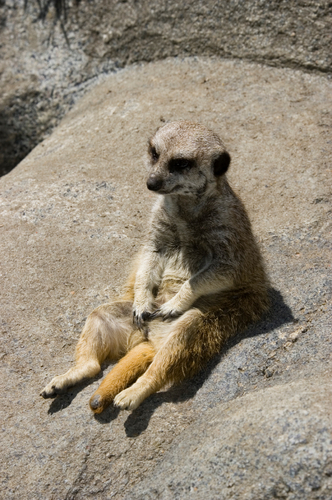 gogoincho's profile picture. 三河湾に面した海辺のまちにある診療所の３代目院長です。