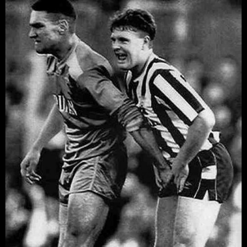 Dan_Rob09's profile picture. partial to a cheese board