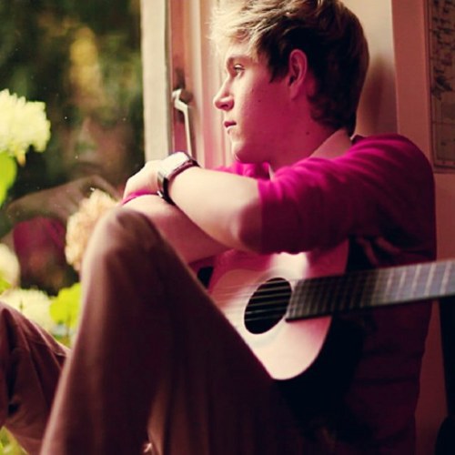 onenialltion's profile picture. | niall is perfection |