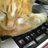 にゃーたのアイコン