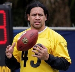 All the latest breaking news about Troy Polamalu