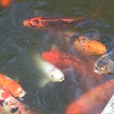 Eric McClendon - @EricMcClendon1 - Twitter