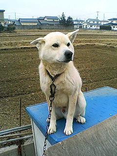 東北在住　人生日々投げっぱなし　
座右の銘：人生は後悔の繰り返し　
音ゲーをチマチマとやってます
普段は静か、たまにアホのように連投
／
謎解き／対人人狼（ポンコツ）などなど　　　　　
『大森杏子』@ankoomori 
『東北三姉妹』@t_zunko
『MaiR』 @MaiR_Hoshino応援中