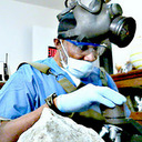 Reginald Lee Flake - @ReginaldLeeFlak - Twitter