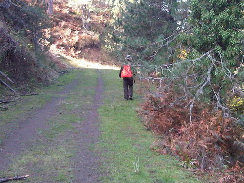 huntingingreece's profile picture. Ιστολόγιο κυνηγετικού ενδιαφέροντος