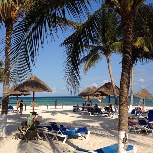 330Raul9's profile picture. 