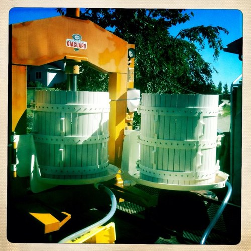 1YNMKR's profile picture. 