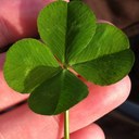 Amber Conner - @_Amber_C - Twitter