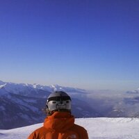 Stu (@stuartjmurray) 's Twitter Profile