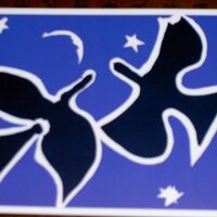 Michelle Gaillard (@migaillard) 's Twitter Profile