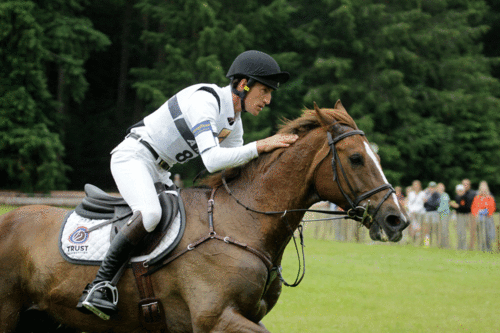 Offizieller News-Kanal von Schrade Eventing.