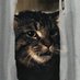 Foster Lee (@cmeow) Twitter profile photo
