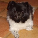 Richard LePage - @LePageRichard - Twitter