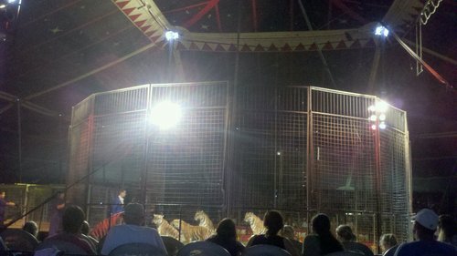 JSudsina's profile picture. my birthday is on february 15