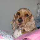 SANDRA ALEJO R. - @SANDRAALEJOR - Twitter