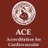 ACE_CVEXCEL's profile image