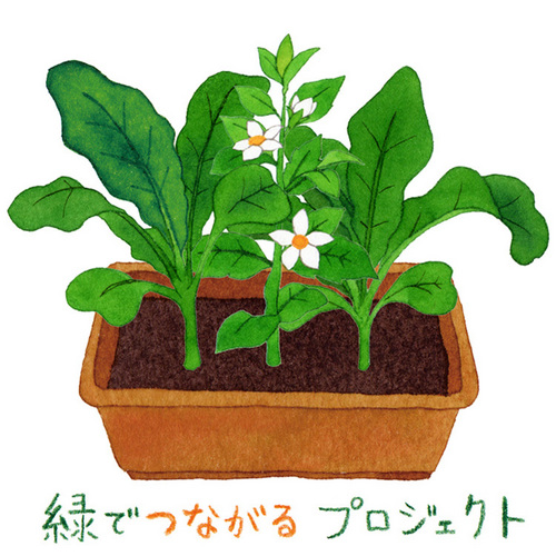 green_pj_2_0's profile picture. 被災地の仮設住宅やみなし仮設で生活している方々に、お花や野菜を育てる喜びや、人とつながる楽しさを感じてほしい。そのための仕組み作りをお手伝いします。