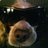 eliaguib's profile image