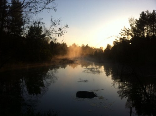 CampHolmes's profile picture. 