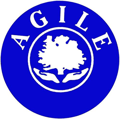 AGILE Profile