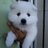 sorese1's profile image