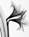 ALookSee's profile picture. writer, editor, infographics noob. i'm looking for pretty and compelling words + images.