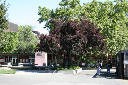 The DVC Assessment Center provides placement tests in English, Math, Chemistry & ESL for new and continuing DVC students.