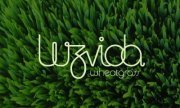 Clorofila orgánica certificada, libre de gluten oficial. Desde el 2006 primeros productores de wheatgrass en Argentina.