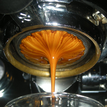 Espresso, Tennis, Golf, and Mountain Biking Addict. Passionate about Evolution, Microbiology, Virology, and Engineering too.