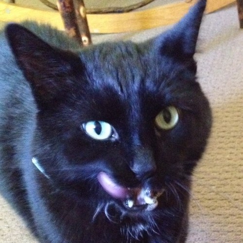 muiren's profile picture. Hi.