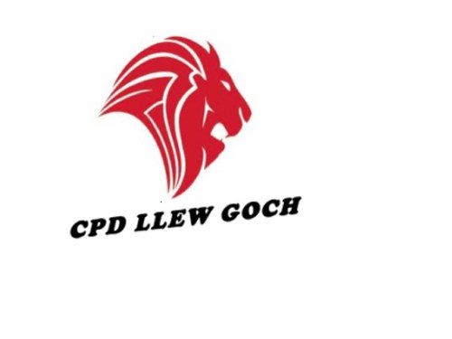 LlewGochFC's profile picture. MMA Cup Winners 2011-2012  Merthyr Housing Divison 1 Runners Up  Promoted 2011-2012   Ground - The Moodies !!  Manager - TBC