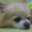 toi_toi1982's profile image