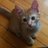stefimicio's profile image
