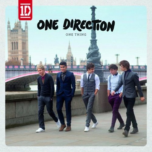 We not obsessed were dedicated, were not fans were directioners. BTW its not 'OH MY CARROTS, !' its now 'HOLY FUDGING PIGEON CRAP'