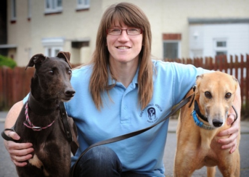 kingshounds's profile picture. Family run Greyhound rescue in the north east of England. We rehome retired Greyhounds, Whippets and lurchers. Come say HI.