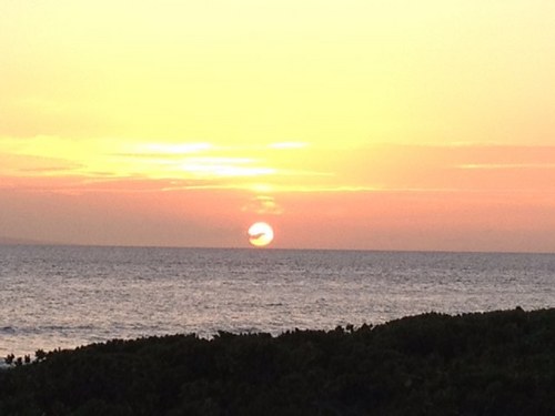 Kmoom9's profile picture. 