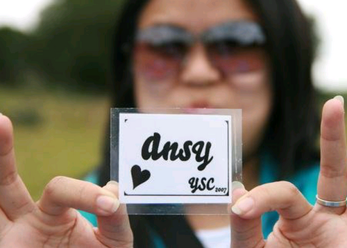 ansy