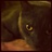 LaiaPlans's profile image